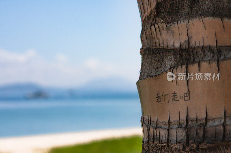 A coconut tree on the beach with the inscription "我们走吧", which means "Let's go"